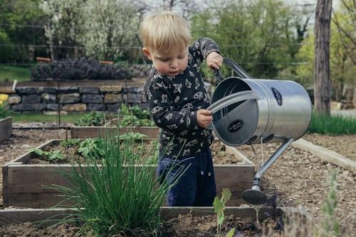Gardening Telegram Groups and Channels
