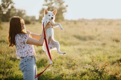 Pets Telegram Groups and Channels