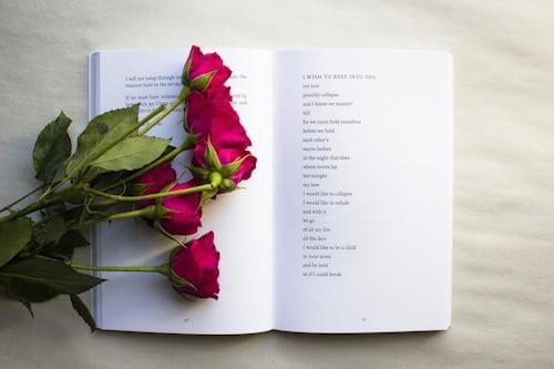 Poetry Telegram Groups and Channels