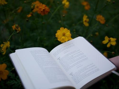 Short Stories Telegram Groups and Channels