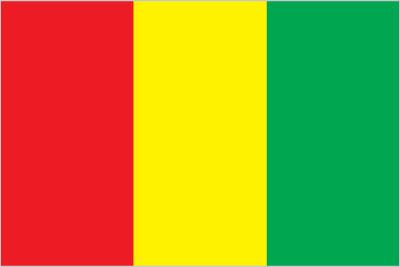 Guinea Telegram Groups and Channels